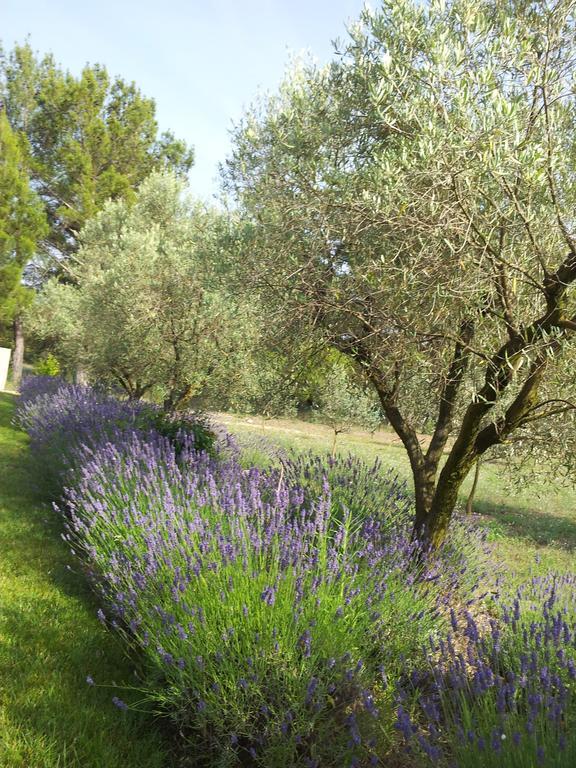 Appartement L'AMANDERAIE à côté de LOURMARIN en LUBERON à Cadenet Chambre photo